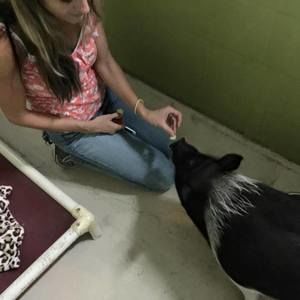 Meet your Posher, Carol